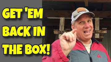 STOP CHICKENS LAYING ON THE GROUND ➖ GET 