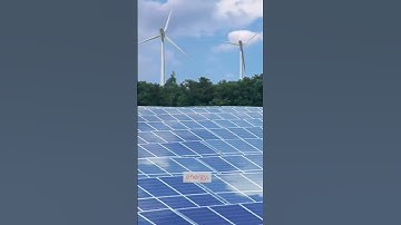 Saving Our Planet: 3 Ways to Fight Climate Change and Protect the Environment