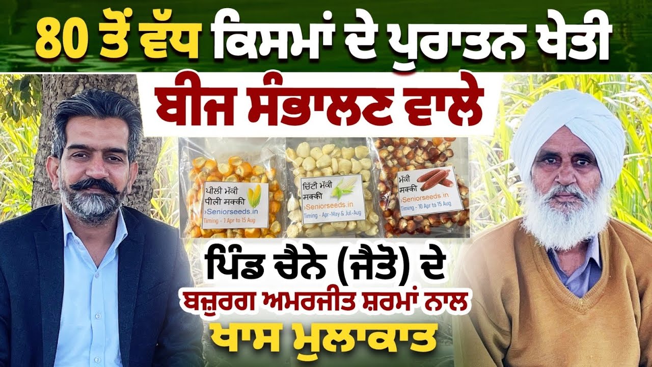 80 ਤੋਂ ਵੱਧ ਕਿਸਮਾਂ ਦੇ ਪੁਰਾਤਨ ਖੇਤੀ  ਬੀਜ ਸੰਭਾਲਣ ਵਾਲੇ  ਅਮਰਜੀਤ ਸ਼ਰਮਾਂ