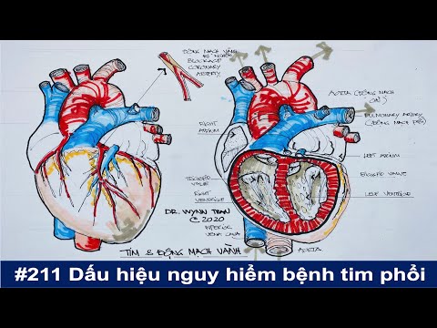 Video: Dấu Hiệu Của Các Thành Phố