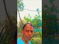 Mor prabhu garediya re ✝️ Sadri christian song # jesus # yeshu song ✝️🙏