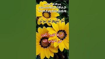سورة الاخلاص #ikhlas #الله #اكسبلور#المصحف#allah#تيك_توك #حالات_واتس#صباح_الخير #لايك#usatoday#اللهم