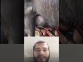 Reels video viral 🤣
