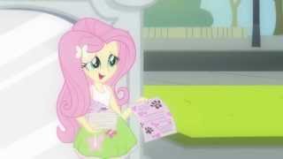 Fluttershy  Looks for Animal Shelter Volunteers - Equestria Girls