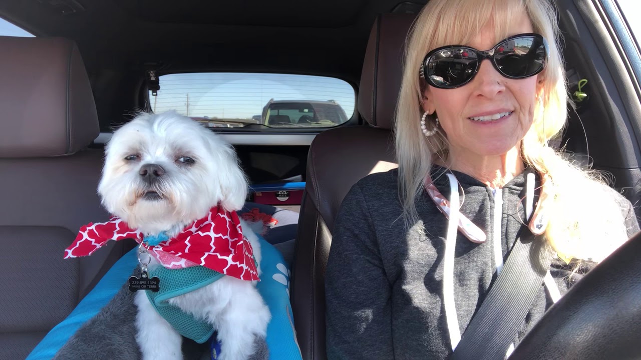 Get started on the keto lifestyle! - YouTube