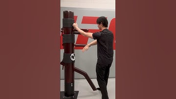 Wing Chun 4 Corner Simultaneous Attack & Defense Tutorial #shorts #wingchun #jkd #kungfu