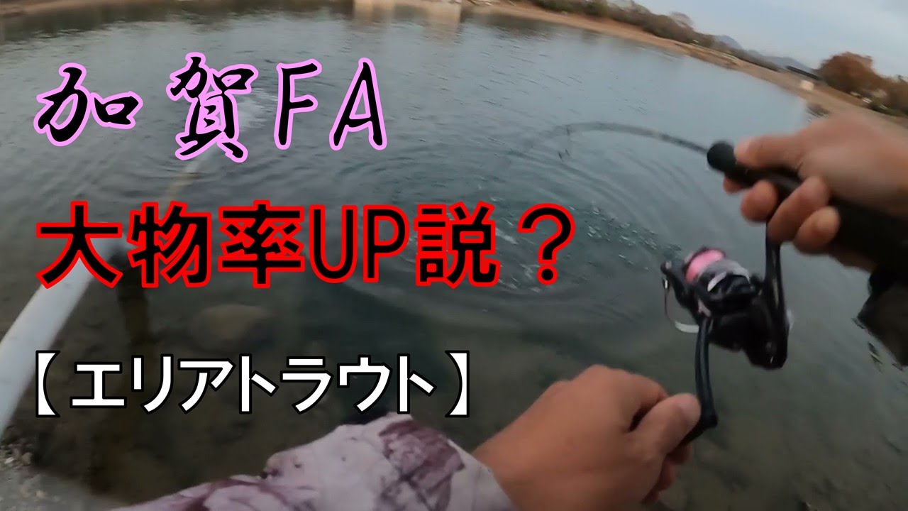 加賀FAで噂の大物に挑む！夕マズメ怒涛の反撃？【エリアトラウト2025】