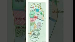 Foot reflexology Chart #Shorts