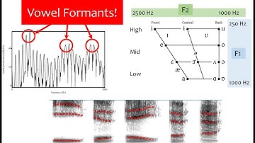 Speech Acoustics 5 - vowel formants
