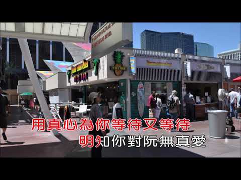台9字(思念你的心肝你敢知)21451拉斯維加斯Bellagio飯店前的水舞