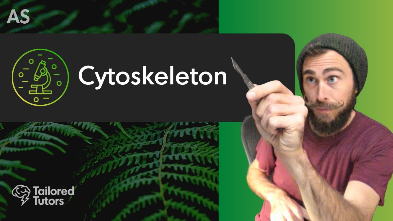 Cytoskeleton | A Level Biology Tutorial | OCR - YouTube
