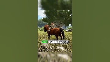 How to Tame an Equus (Without Getting Kicked Off 😤🔥)