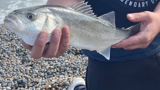 Norfolk Beach Fishing, Weybourne Beach