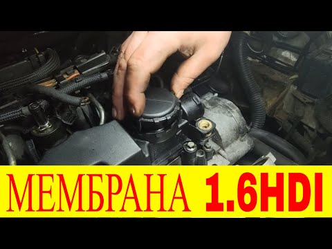 Одна из причин масложора 1-6hdi Замена Мембрана клапанной крышки PEUGEOT 1-6 HDI -1-6D 0248L1