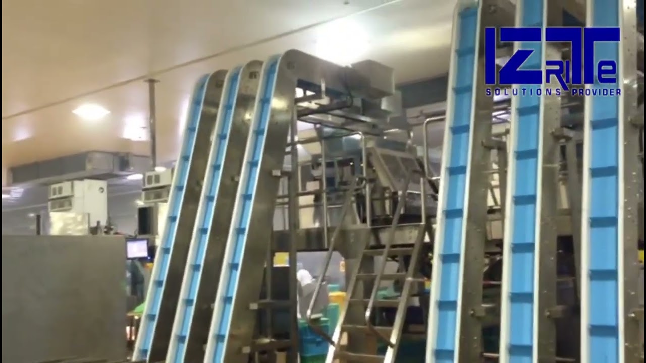 6 in 1 packing conveyor