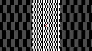 Shrinking illusions optical #shorts #youtubeshorts #opticalillusion