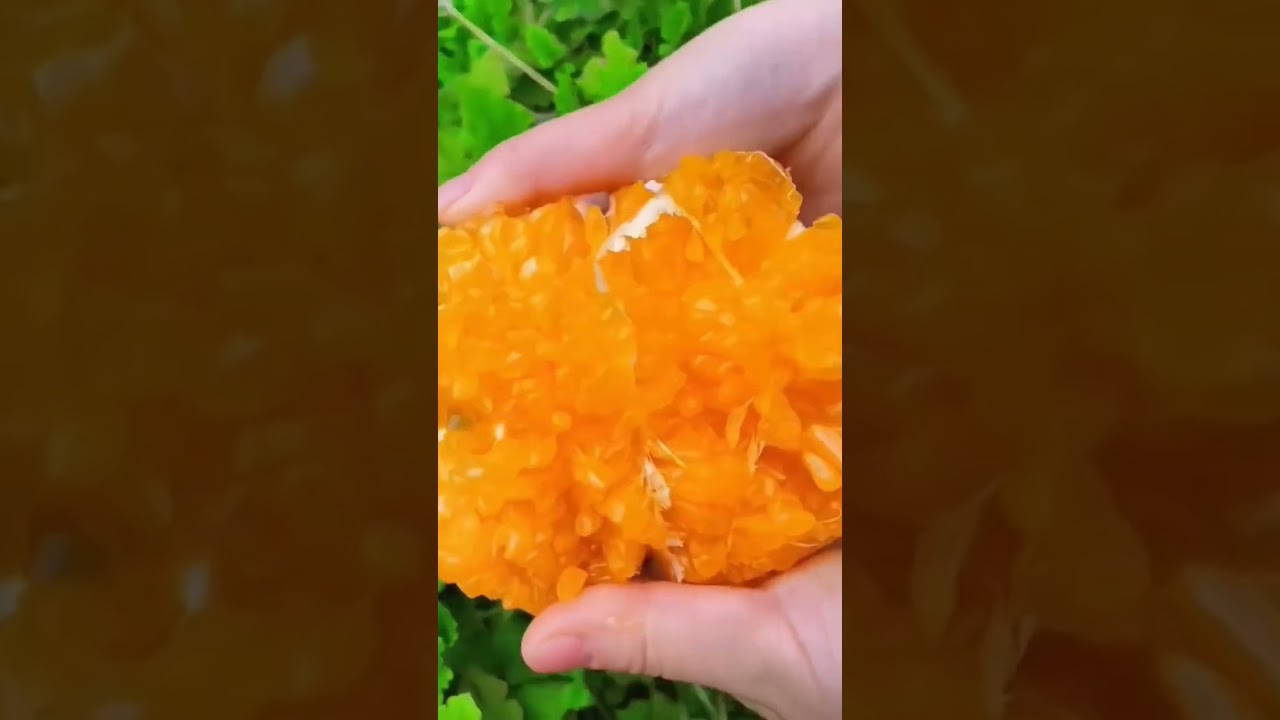 Oranges decopon fruit