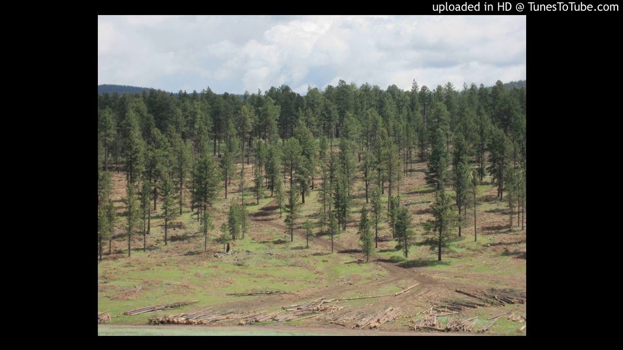 State Land Office Podcast 2 YouTube
