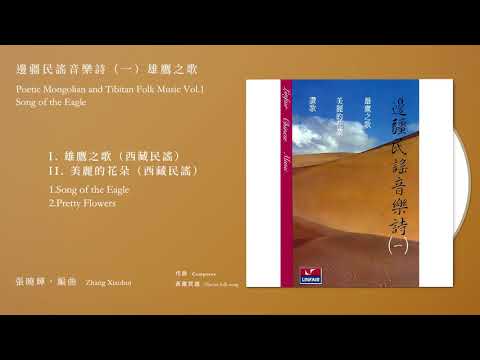 Ver 張曉輝，編曲&演奏 Zhang Xiaohui【雄鷹之歌（西藏民謠）+美麗的花朵（西藏民謠）Song of the Eagle+Pretty Flowers】Official Instrumental en YouTube