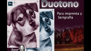DUOTONOS EN COREL Y PHOTOSHOP PARA SERIGRAFIA