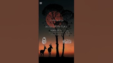 قران كريم سوره المؤمنين القارئ ياسر الدوسري #قران_كريم #سور_مؤمنين #ياسر_الدوسري