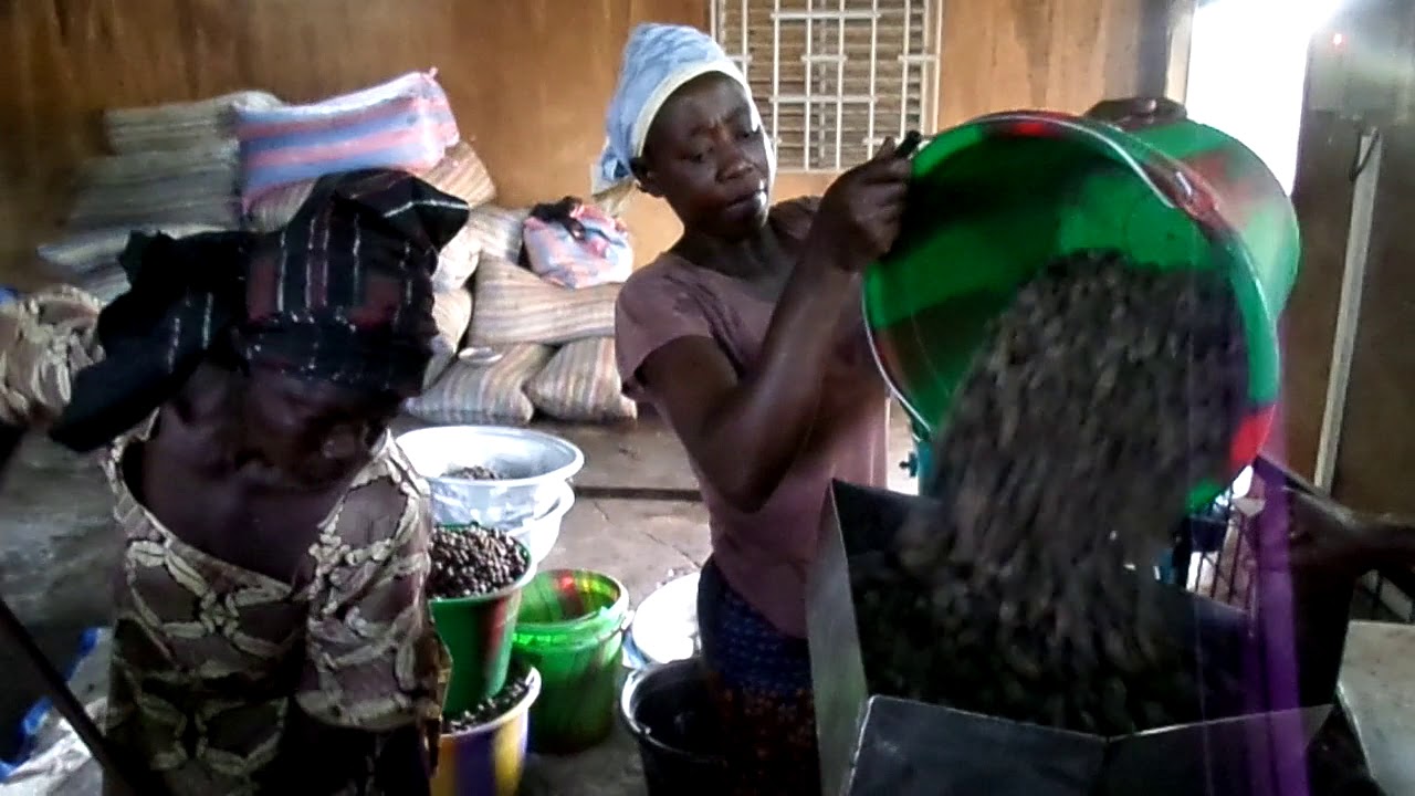 mechanical grinding of shea nuts, replaces laborious hand pounding