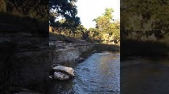 Comal River Friendly Cabins Pet