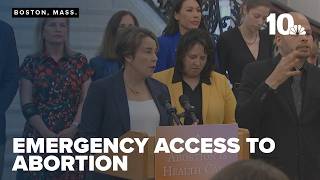 Gov. Healey signs executive order to protect access to emergency abortion