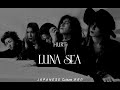 Hurt // LUNA SEA [Subtitulado al Espa&ntilde;ol]
