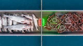 I Built The Most Efficient Scrap Generator In Rust