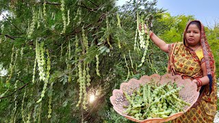 बबूल की फली की सब्जी जो हमारे पूर्वजों के भोजन की याद दिला देती है BABUL KI SABJI RECIPE