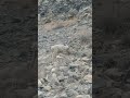THE BEAUTY OF HUNZA/ himalaya #remix #music #song #mario #hunza #yt #ytshorts