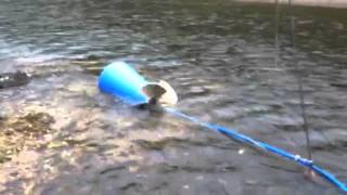 Passive River Pump
