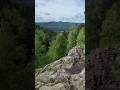 прогулка по пещерному логу✨ #like #siberia #krasnoyarsk #nature #shorts #туризм #природа #лес #горы