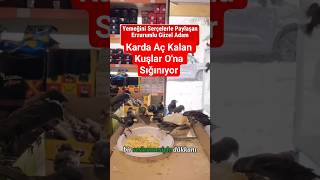 Yiyecek Bulamayan Kuşlarla Yemeğini Paylaşıyor