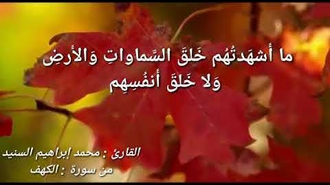 عشائية من سورة الكهف للقارئ محمد السنيد