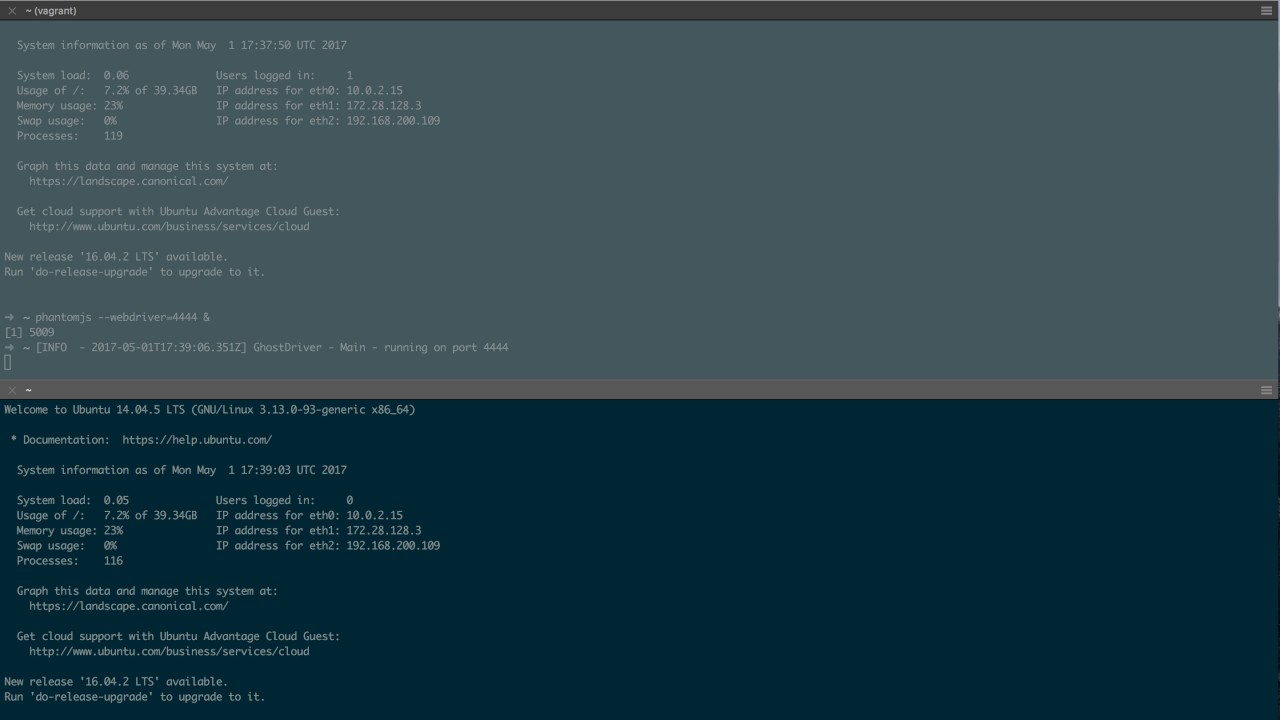 Vagrant + Behat + PhantomJS Test Run - YouTube