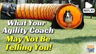 Dog Agility: How to Avoid These Three Common Training Practices