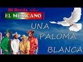 Mi Banda el Mexicano   Una Paloma Blanca