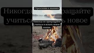 Стремление к знаниям