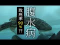 いろいろ プレコ 病気 白い 220532-プレコ 病気 白い