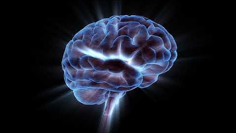 A Rotating Human Brain Electrically Charged With Thought