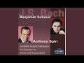 Miniature de la vidéo de la chanson Sonata No. 6 In G Major, Bwv 1019: Ii. Largo