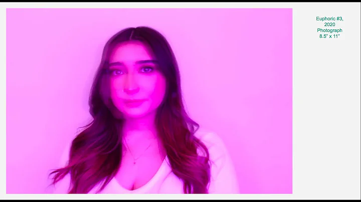 Consuelo Ortiz - Artist Talk