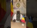 توضح ما حاصل في هلنا التاما والزغاوة في تشاد ربنا يرفع مشاكل قبلية