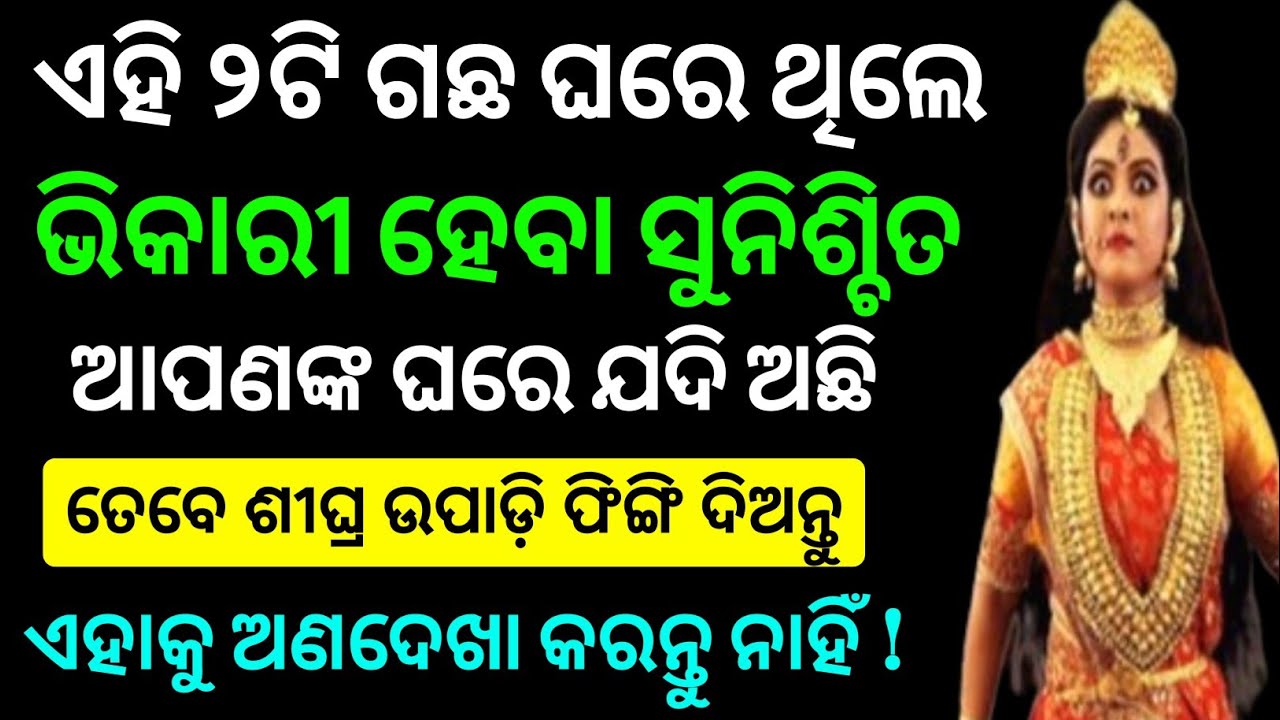 ଏହି ୨ଟି ଗଛ ଘରେ ରହିଲେ ଭିକାରୀ ହେବା ସୁନିଶ୍ଚିତ । Odia anuchinta | maa laxmi | rashifala in odia 