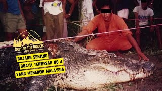 Bujang Senang Buaya Terbesar Nomor 4 di Dunia yang Meneror Warga Malaysia