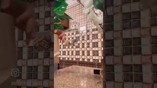 Add elegance to your home Just with Soft Rose Gallery..✨💚🤍 screenshot 5