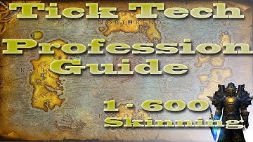 Skinning | 1 - 600 Guide