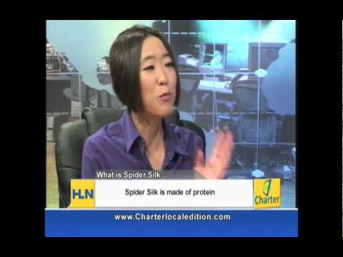UCR Professor Cheryl Hayashi on Spiders and Spider...
